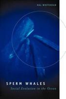 Sperm Whales