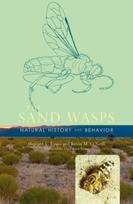 Sand Wasps