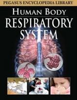 Respiratory System
