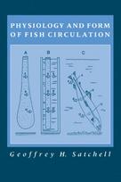 Physiology and Form of Fish Circulation