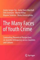 Many Faces of Youth Crime