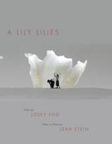 Lily Lilies