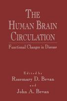 Human Brain Circulation