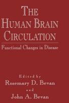 Human Brain Circulation