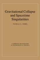 Gravitational Collapse and Spacetime Singularities