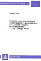Familiaere Lebensbedingungen und die subjektive Bedeutsamkeit der Medien Fernsehen und Videospiel fuer 12- bis 14jaehrige Kinder