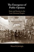 Emergence of Public Opinion