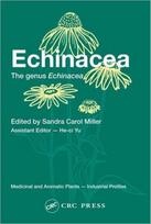 Echinacea