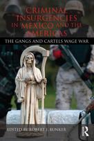 Criminal Insurgencies in Mexico and the Americas - Minkštas viršelis