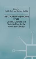 Counter-Insurgent State