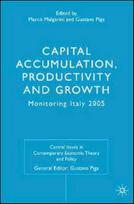 Capital Accumulation, Productivity and Growth
