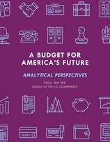 Budget for America's Future