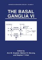 Basal Ganglia VI