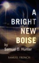 Bright New Boise