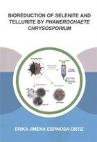 Bioreduction of Selenite and Tellurite by Phanerochaete Chrysosporium
