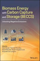 Biomass Energy with Carbon Capture and Storage (BECCS)