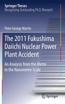 2011 Fukushima Daiichi Nuclear Power Plant Accident