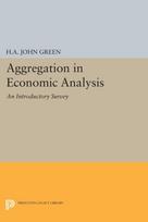 Aggregation in Economic Analysis - Minkštas viršelis