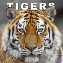 Tigers Calendar 2026  Square Wildlife Safari Big Cats Wall Calendar - 16 Month