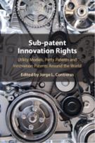 Sub-patent Innovation Rights
