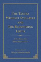 Tantra Without Syllables (Volume 3) and The Blazing Lamp Tantra (Volume 4)