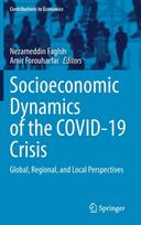 Socioeconomic Dynamics of the COVID-19 Crisis
