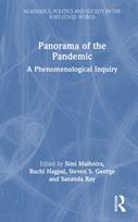 Panorama of the Pandemic