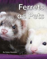 Ferrets as Pets