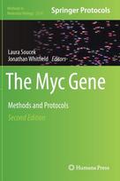 Myc Gene