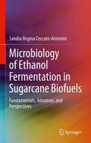 Microbiology of Ethanol Fermentation in Sugarcane Biofuels