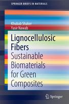 Lignocellulosic Fibers
