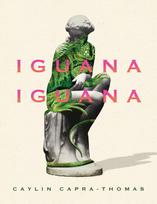 Iguana Iguana