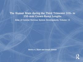 Human Brain during the Third Trimester 310– to 350–mm Crown-Rump Lengths