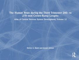 Human Brain during the Third Trimester 260– to 270–mm Crown-Rump Lengths