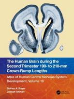 Human Brain during the Second Trimester 190– to 210–mm Crown-Rump Lengths