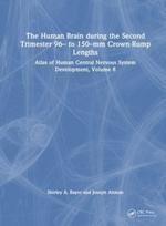 Human Brain during the Second Trimester 96– to 150–mm Crown-Rump Lengths