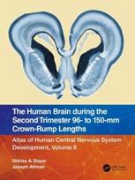 Human Brain during the Second Trimester 96– to 150–mm Crown-Rump Lengths