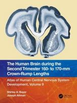 Human Brain during the Second Trimester 160– to 170–mm Crown-Rump Lengths