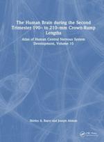 Human Brain during the Second Trimester 190– to 210–mm Crown-Rump Lengths