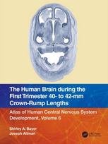 Human Brain during the First Trimester 40- to 42-mm Crown-Rump Lengths