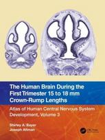 Human Brain during the First Trimester 15- to 18-mm Crown-Rump Lengths