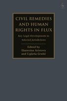Civil Remedies and Human Rights in Flux