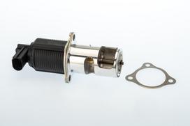 BorgWarner EGR vožtuvas 710950D