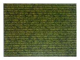 PVC grindų danga Thema Lux M13018, žalia sp., 130 cm x 0.8 cm