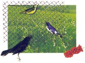 Plastikinis tinklas 121002, 10 m x 400 cm