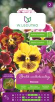 Sėklos našlaitė ROCOCO MIX, 0.4 g