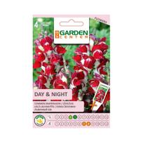 Sėklos Garden Center žioveinis Day & Night, 0.2 g