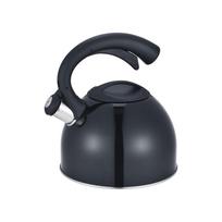 Arbatinukas su švilpuku Domoletti, 3 l, juoda sp.