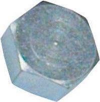 Kamštis Raccorfer Steel Cap with Internal Thread Zinc