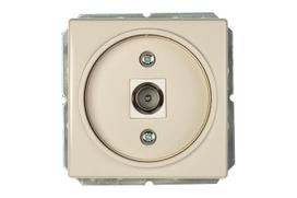 Antenos lizdas Vilma ST150, dramblio kaulo sp.